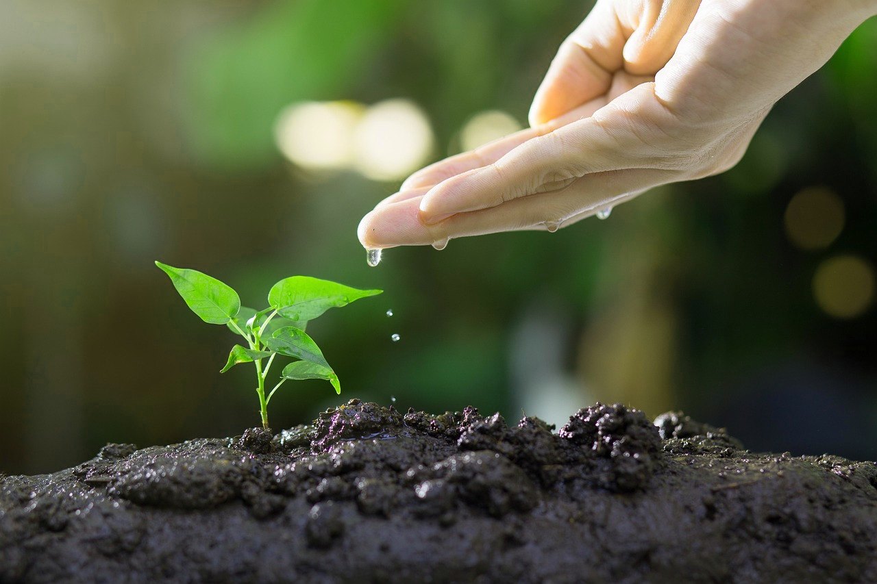 Featured image for “Automatización de lead nurturing con IA en 2026”